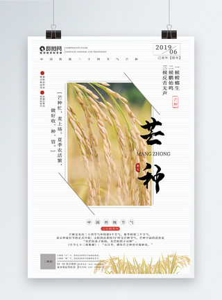 稻谷设计24节气芒种海报模板