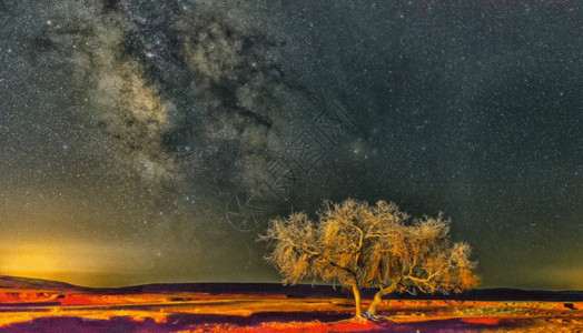 野旷天低树草原银河gif高清图片
