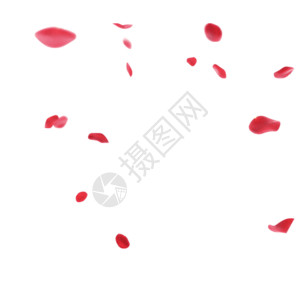 红色花瓣桃心红色飘舞下落的花瓣gif高清图片