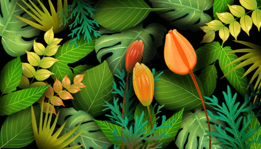 热带树叶花卉花卉插画gif动图高清图片