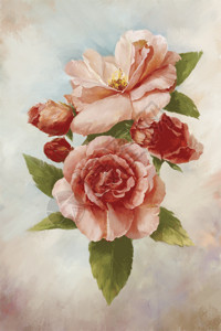 白色玫瑰花朵花卉插画gif动图高清图片