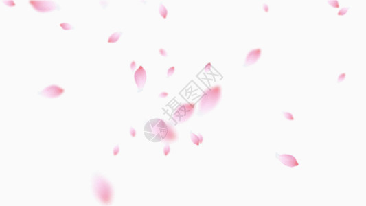 粉色透明水母桃花下落飘落gif高清图片