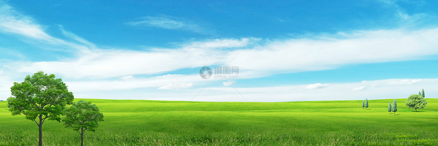 天空绿地树背景图片