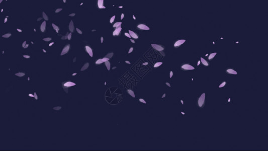紫色漂浮花瓣花瓣gif高清图片