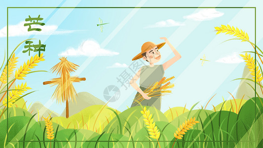 稻谷成熟芒种稻种成熟农作物收割新耕作插画