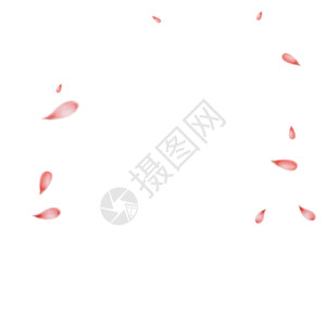 红色飞舞花瓣花瓣gif高清图片
