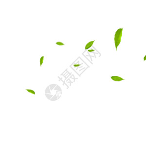 绿色装饰光效绿色树叶gif高清图片
