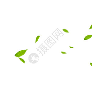 绿色装饰光效飘动的叶子gif高清图片