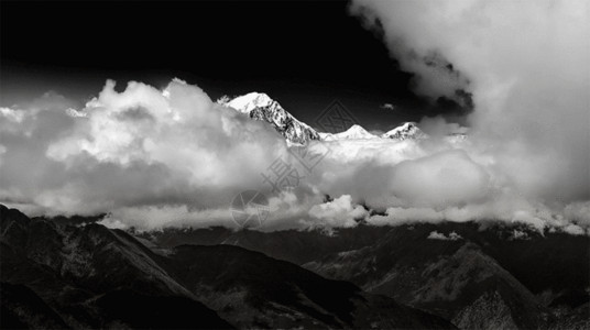 黑白花藤素材高原雪山黑白照gif高清图片