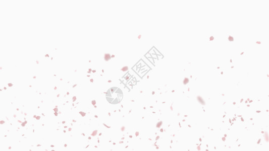 粉红色白色花瓣飞舞gif高清图片