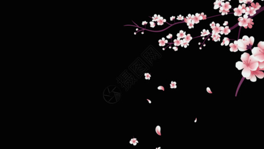 桃花树桃花装饰gif高清图片