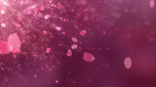 紫色漂浮花瓣浪漫舞台婚礼花瓣gif高清图片