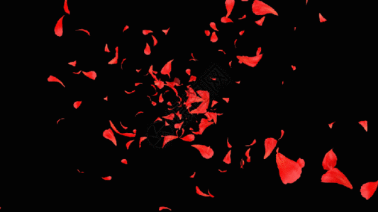 三维花瓣背景GIF图片