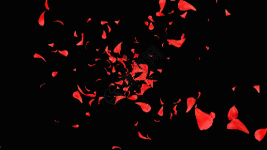 花红色的花三维花瓣背景GIF高清图片