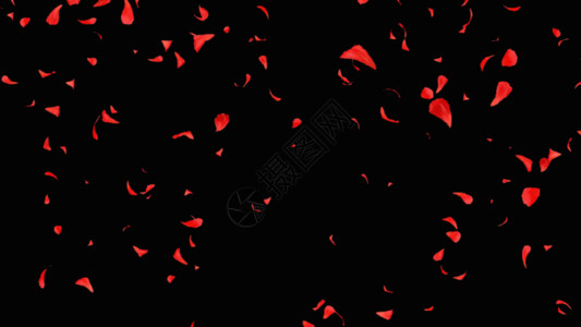 红色花瓣桃心飘落花瓣背景GIF高清图片