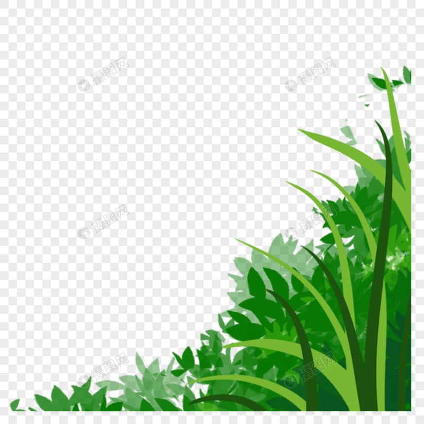 绿植图片