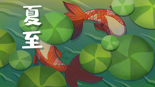 鱼塘戏水24节气夏至鱼游浅水创意插画插画