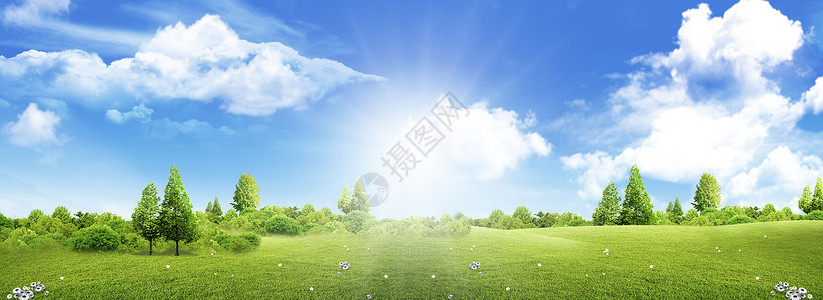 羊和草地绿色环保背景设计图片