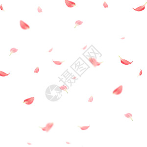 红色婚庆花瓣gif高清图片