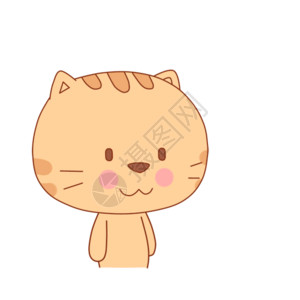 切格瓦拉小肥猫表情包gif高清图片