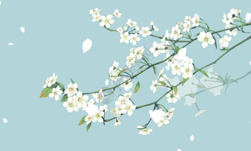 白色信纸梨花背景GIF动图高清图片