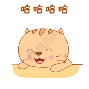 大笑的声素材小肥猫表情包gif高清图片