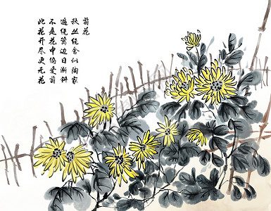 浓墨菊花浓墨菊花高清图片