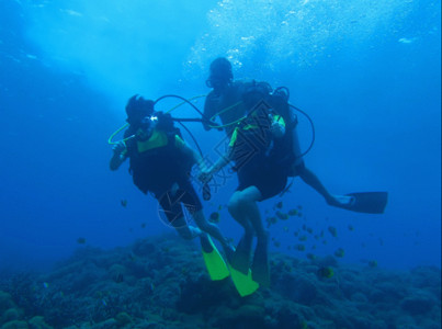 海底水水肺潜水gif高清图片