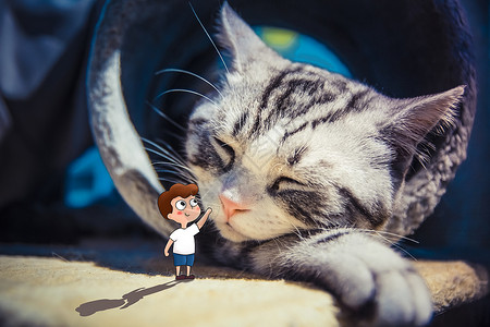 熟睡男孩抚摸猫咪的男孩插画