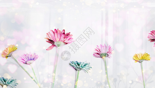 花朵梦幻背景背景图片