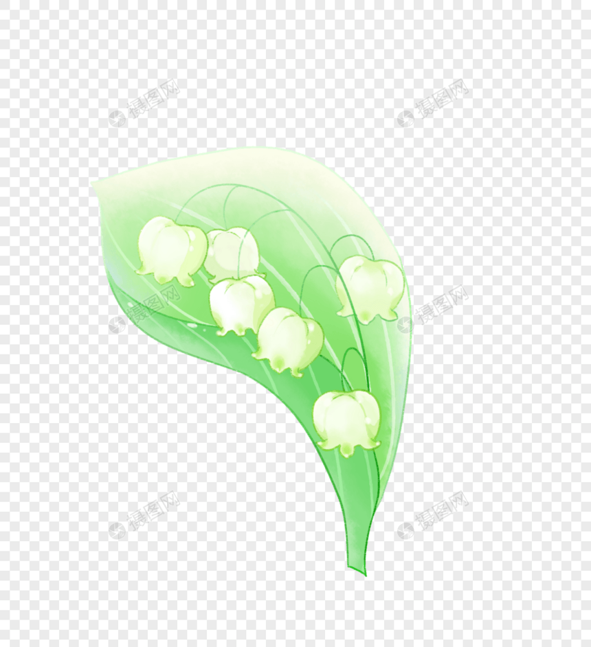 植物铃兰花图片