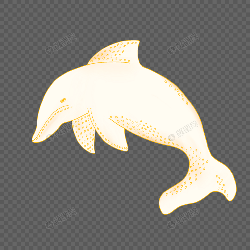 海洋动物海豚图片
