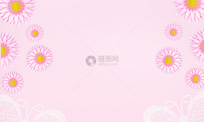 粉色菊花背景图片