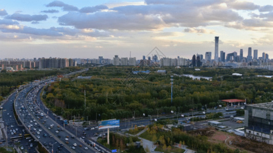 北京朝阳区公园北京城市CBD森林公园延时摄影GIF高清图片