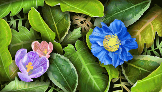 蓝色淘宝植物背景gif动图高清图片