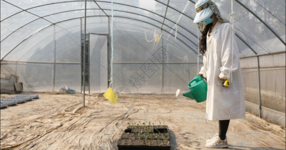 蔬菜大棚农业种植试验GIF高清图片