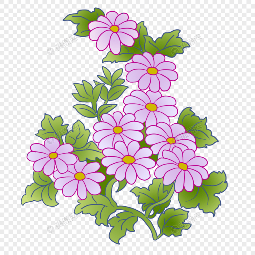 紫色的野菊花图片