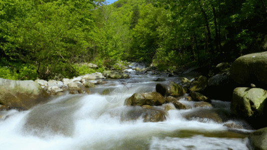 山涧溪流延时山涧溪水GIF高清图片
