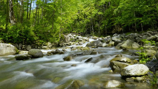 巨石散落延时山涧溪水GIF高清图片