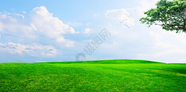 山坡房子草地天空背景设计图片