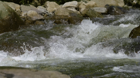 实拍溪水流动GIF图片