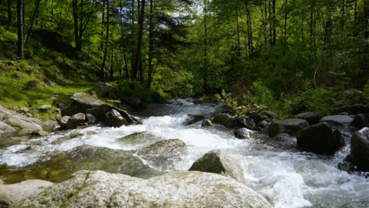 平石头实拍溪水流动GIF高清图片