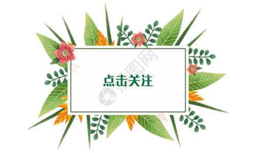 中国风花卉边框点击关注小清新花卉gif动图高清图片