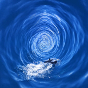 蓝色涟漪出海观海豚gif高清图片