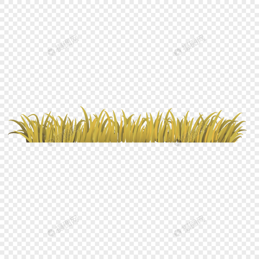 草地黄色小草草丛图片