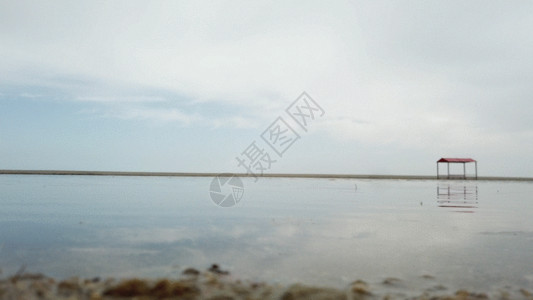 松赞林寺远景青海湖上的飞鸟GIF高清图片