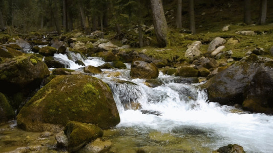 远山流水山涧溪流流水水资源森林GIF高清图片