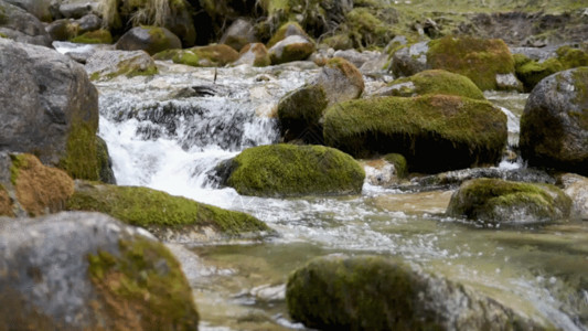 巨石散落山涧溪流流水水资源森林GIF高清图片