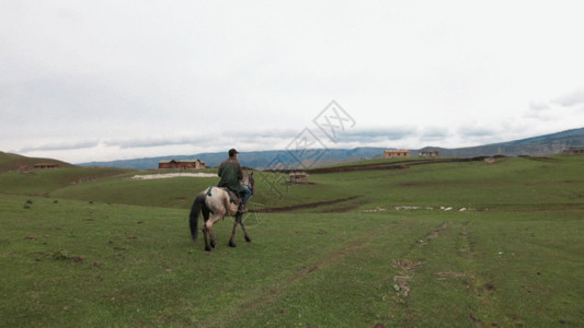 拉市海骑马新疆天山牧场牧民骑马生活牲畜马匹GIF高清图片