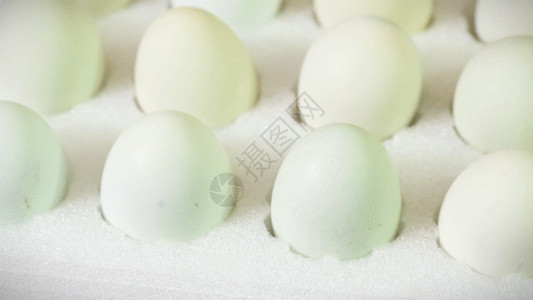 鸡蛋特写实拍鸡蛋GIF高清图片